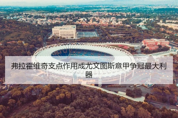 弗拉霍维奇支点作用成尤文图斯意甲争冠最大利器